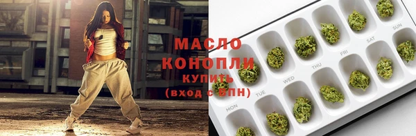 гидра Горнозаводск