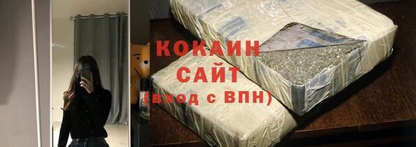 гидра Горнозаводск