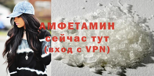 гидра Горнозаводск