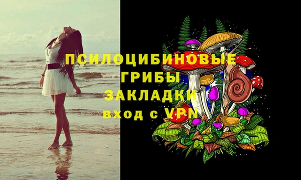гидра Горнозаводск