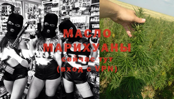 гидра Горнозаводск