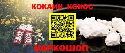 Альфа ПВП Гатчина