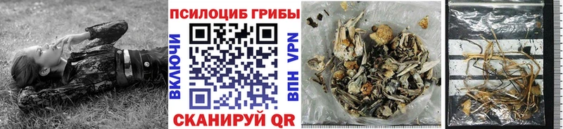 Псилоцибиновые грибы ЛСД  купить наркотик  OMG сайт  Дедовск 
