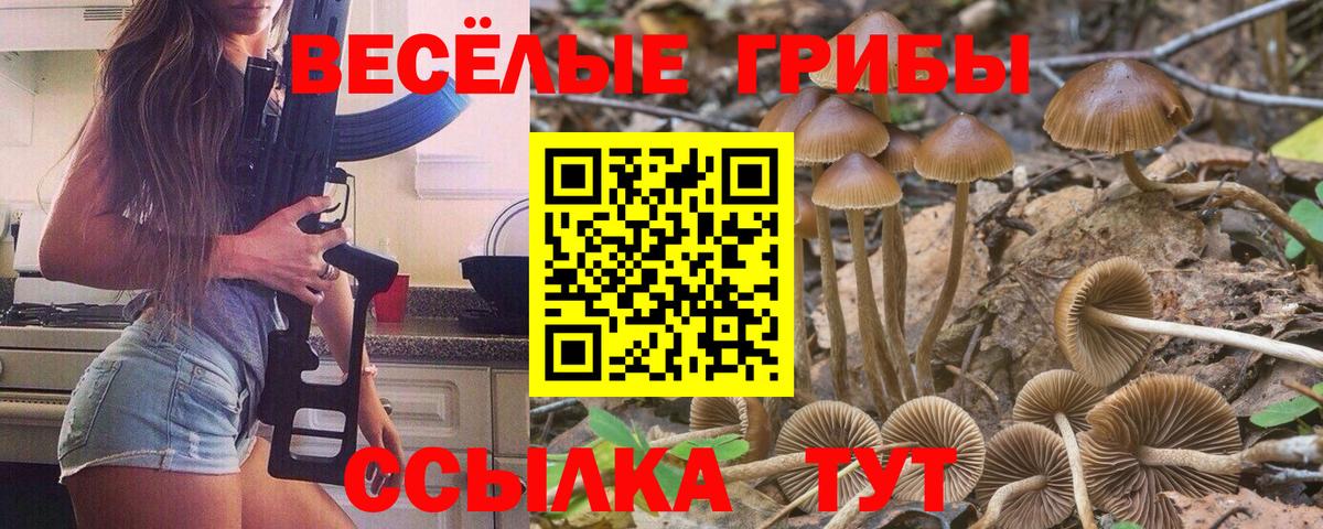 Галлюциногенные грибы мухоморы  Псилоцибиновые грибы прущие грибы  Дедовск  Вход с VPN 